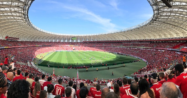 雄心勃勃的