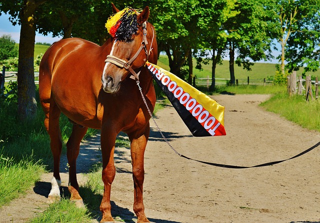 类似情形 类似情形