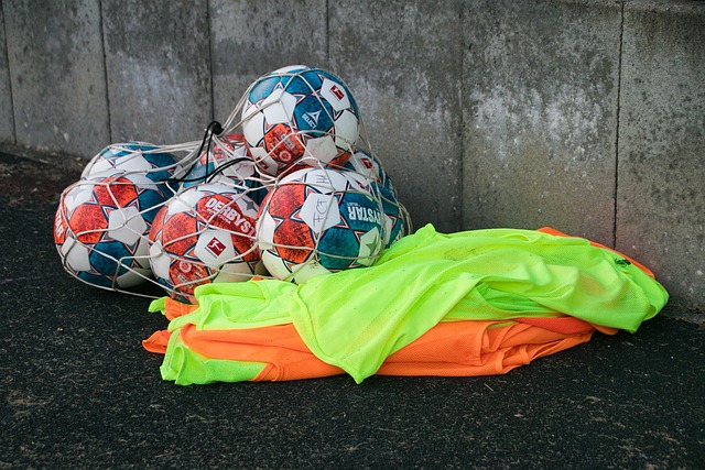 滑冰锦标赛 滑冰锦标赛