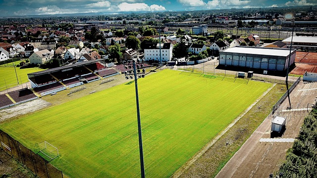 的战术布置 的战术布置