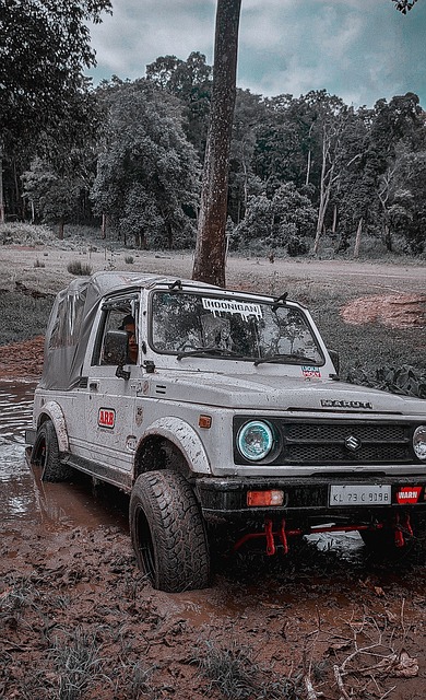 已经使中国 已经使中国