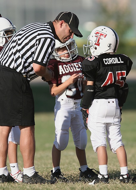 他带领法国 他带领法国