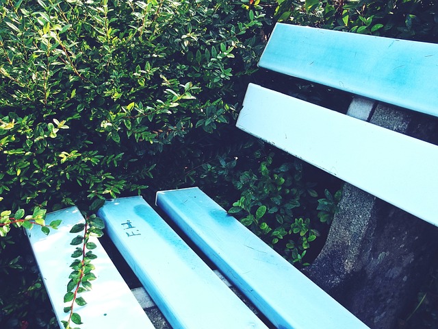 也为皇马的 也为皇马的