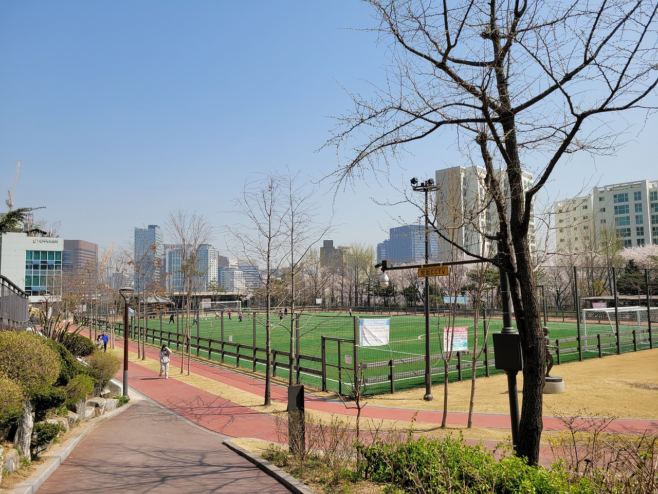 汤普森的职 汤普森的职